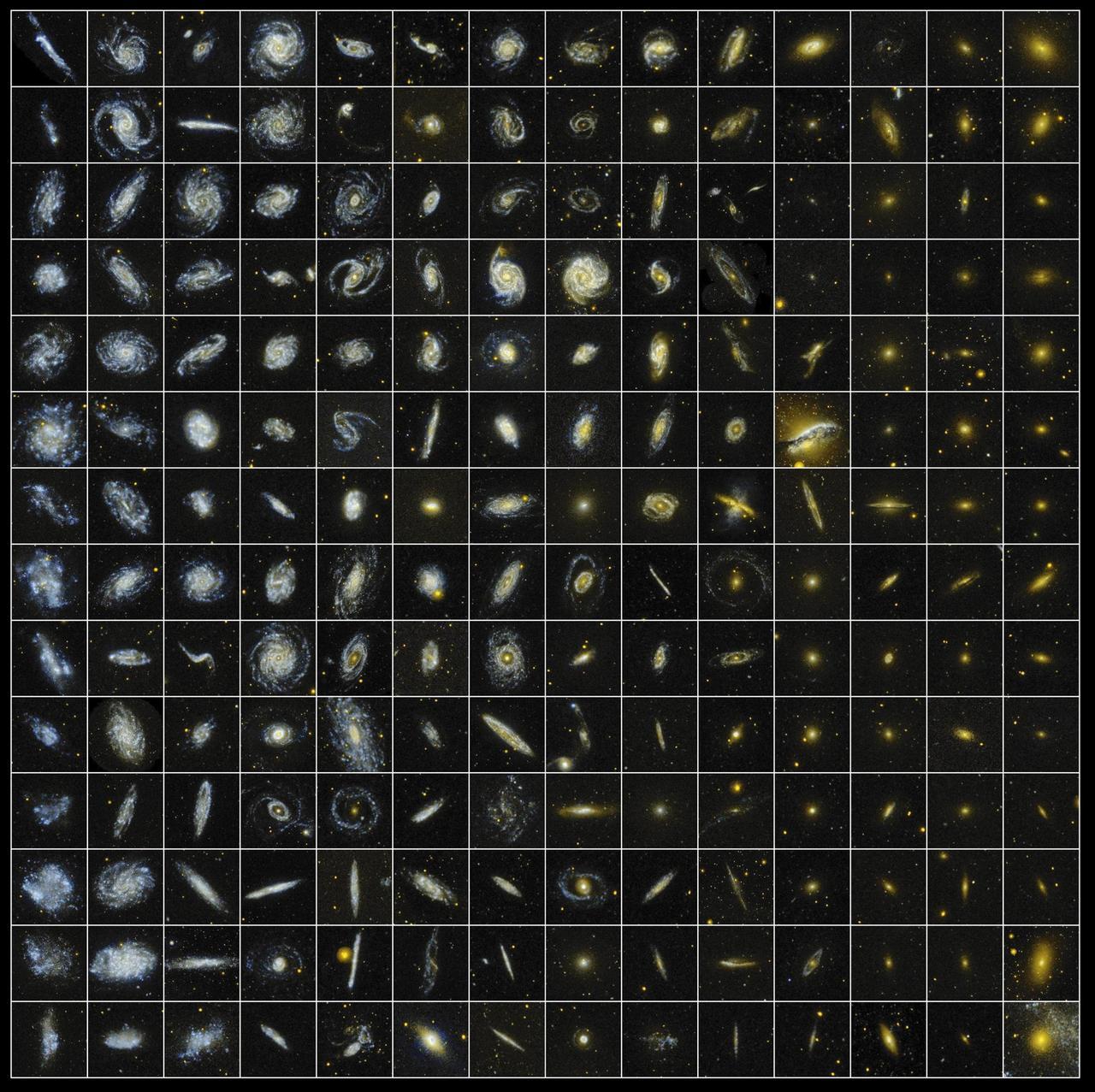 GALEX Distributes Local Galactic Treasures at AAS