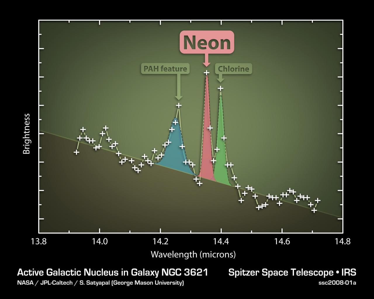Slender Galaxy with Robust Black Hole